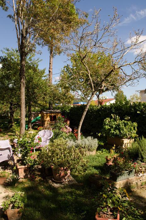 Rose E Merletti Guest House Sasso Feltrio Exterior foto