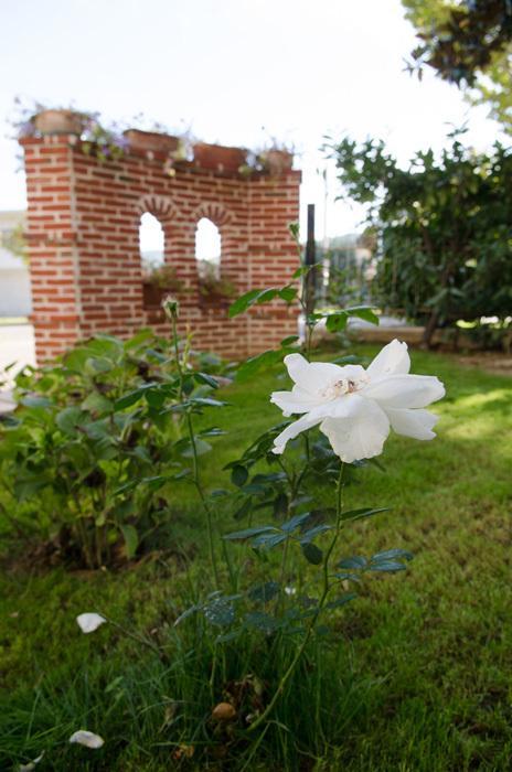 Rose E Merletti Guest House Sasso Feltrio Exterior foto